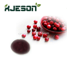 High Quality Cranberry Extract